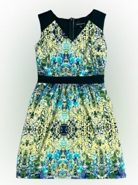 Cynthia Rowley Maximalist Abstract Floral V-Neck Fit & Flare Mini Dress Size 8